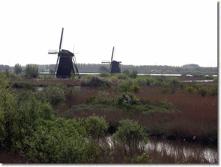 Næste billede